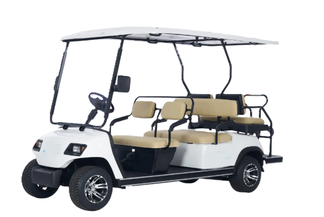 Golf Carts / Electric Passenger Carts